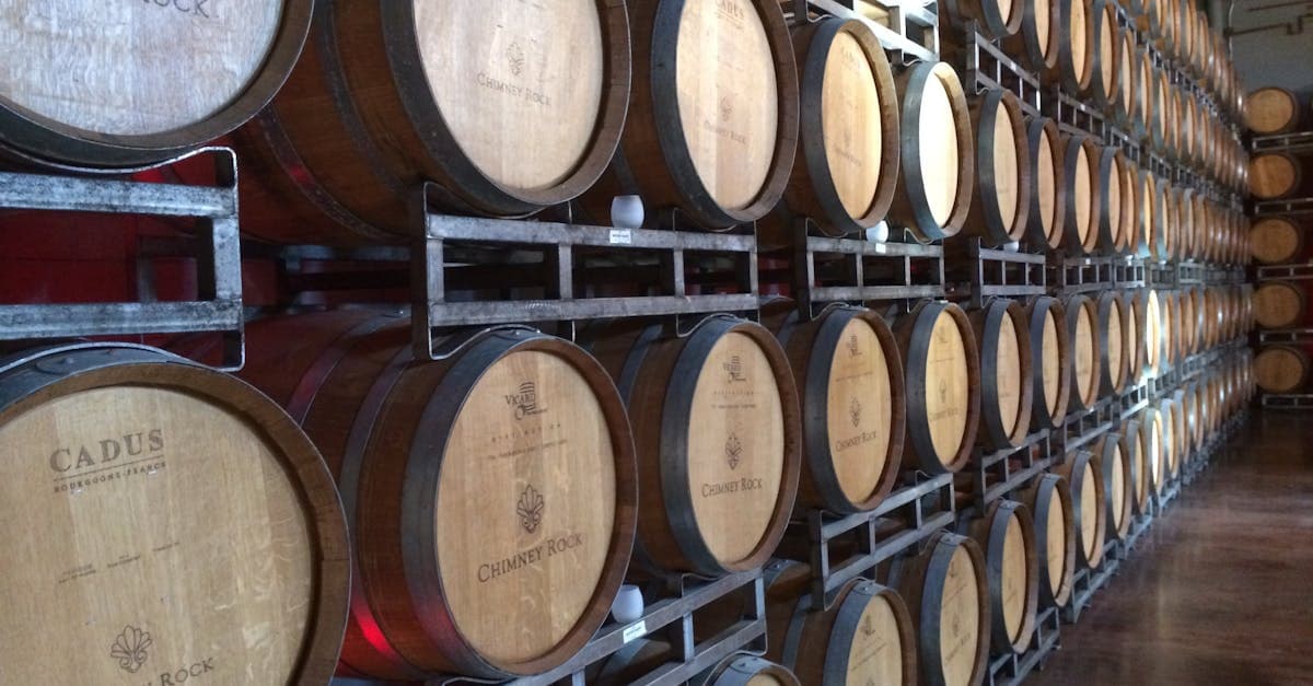 Cover Image for Guarding Your Home: Essential Strategies for Effective Basement Waterproofing