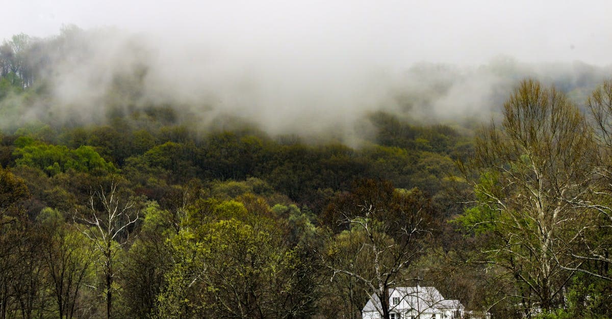 Cover image for Embrace the Homestead Life: A Guide to Sustainable Living and Self-Sufficiency