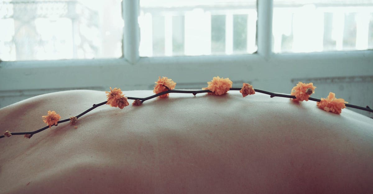 Cover image for The Healing Touch: Explore the Transformative Power of Massage Therapy
