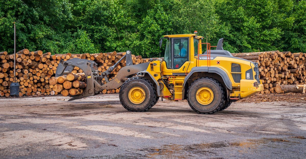 Cover image for Mastering Tree Management: Best Practices for Sustainable Landscapes